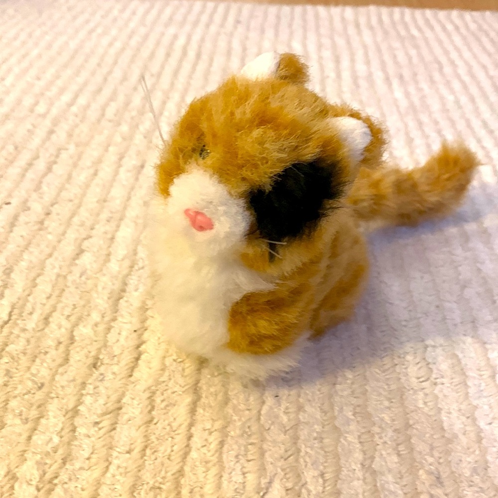 American Girl Ginger Cat